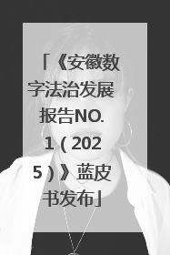 《安徽数字法治发展报告NO.1（2025）》蓝皮书发布