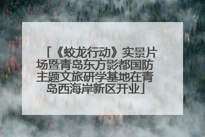 《蛟龙行动》实景片场暨青岛东方影都国防主题文旅研学基地在青岛西海岸新区开业