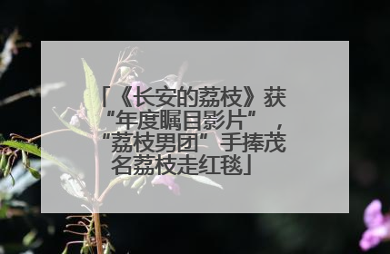 《长安的荔枝》获“年度瞩目影片”，“荔枝男团”手捧茂名荔枝走红毯