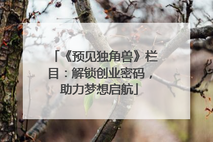 《预见独角兽》栏目：解锁创业密码，助力梦想启航