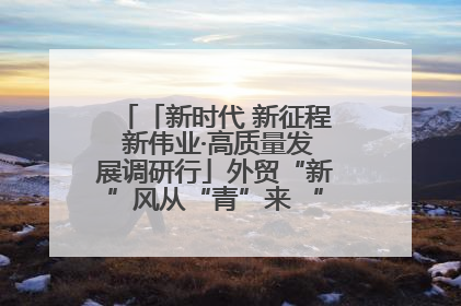 「新时代 新征程 新伟业·高质量发展调研行」外贸“新”风从“青”来 “双向奔赴”启新程