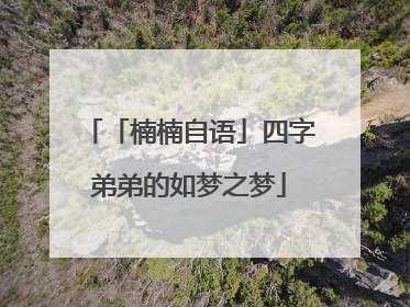 「楠楠自语」四字弟弟的如梦之梦