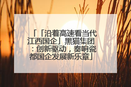 「沿着高速看当代江西国企」黑猫集团：创新驱动，奏响瓷都国企发展新乐章