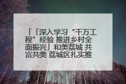 「深入学习“千万工程”经验 推进乡村全面振兴」和美荔城 共富共美 荔城区扎实推进乡村振兴工作