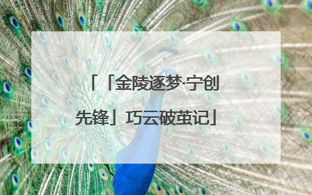 「金陵逐梦·宁创先锋」巧云破茧记
