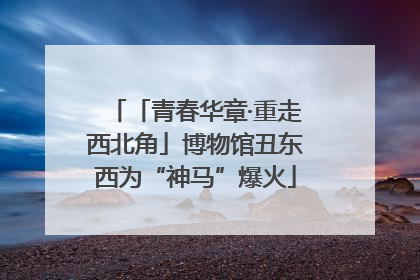「青春华章·重走西北角」博物馆丑东西为“神马”爆火