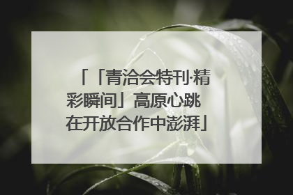 「青洽会特刊·精彩瞬间」高原心跳 在开放合作中澎湃