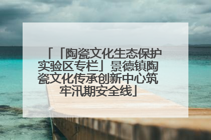 「陶瓷文化生态保护实验区专栏」景德镇陶瓷文化传承创新中心筑牢汛期安全线
