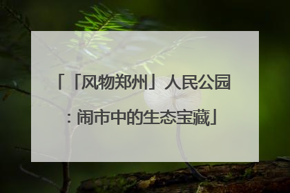 「风物郑州」人民公园：闹市中的生态宝藏