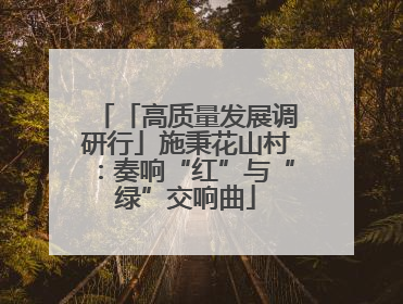 「高质量发展调研行」施秉花山村：奏响“红”与“绿”交响曲