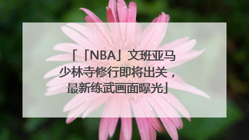 「NBA」文班亚马少林寺修行即将出关，最新练武画面曝光