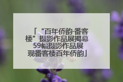 “百年侨韵·番客楼”摄影作品展揭幕 59幅摄影作品展现番客楼百年侨韵