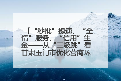 “秒批”提速、“全情”服务、“信用”生金——从“三级跳”看甘肃玉门市优化营商环境的进阶之路