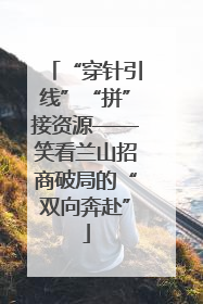 “穿针引线”“拼”接资源——笑看兰山招商破局的“双向奔赴”