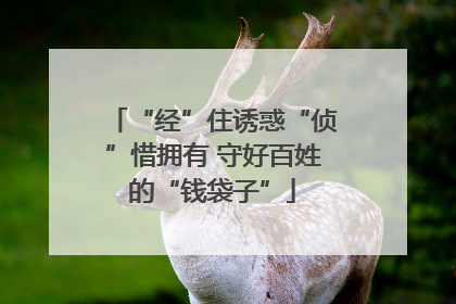 “经”住诱惑“侦”惜拥有 守好百姓的“钱袋子”
