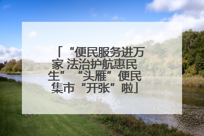 “便民服务进万家 法治护航惠民生”“头雁”便民集市“开张”啦