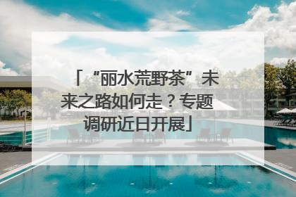 “丽水荒野茶”未来之路如何走？专题调研近日开展