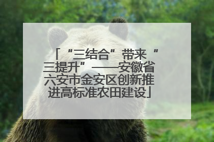 “三结合”带来“三提升”——安徽省六安市金安区创新推进高标准农田建设