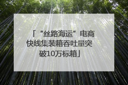 “丝路海运”电商快线集装箱吞吐量突破10万标箱