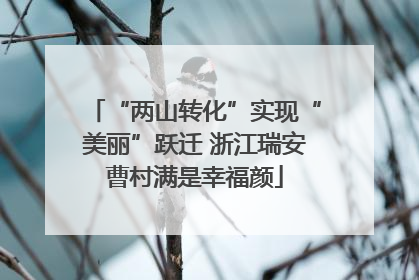 “两山转化”实现“美丽”跃迁 浙江瑞安曹村满是幸福颜