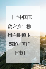 “中国玉藕之乡”柳州百朋镇玉藕抢“鲜”上市