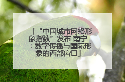 “中国城市网络形象指数”发布 南宁：数字传播与国际形象的西部窗口