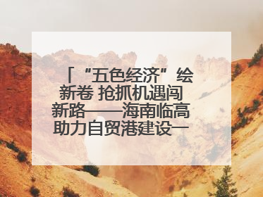 “五色经济”绘新卷 抢抓机遇闯新路——海南临高助力自贸港建设一线见闻