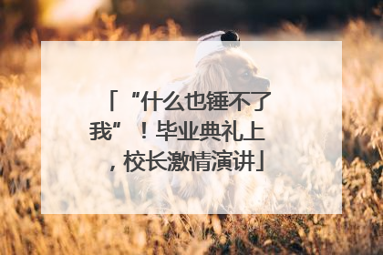“什么也锤不了我”！毕业典礼上，校长激情演讲