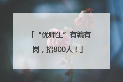 “优师生”有编有岗，招800人！