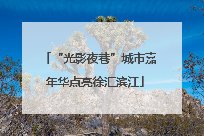 “光影夜巷”城市嘉年华点亮徐汇滨江