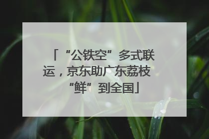 “公铁空”多式联运，京东助广东荔枝“鲜”到全国