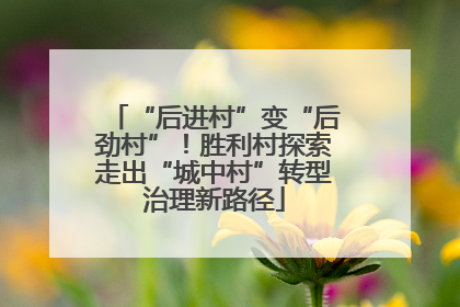 “后进村”变“后劲村”！胜利村探索走出“城中村”转型治理新路径