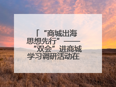 “商城出海 思想先行”——“双会”进商城学习调研活动在临沂顺利开展