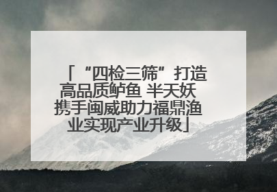 “四检三筛”打造高品质鲈鱼 半天妖携手闽威助力福鼎渔业实现产业升级