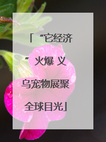 “它经济”火爆 义乌宠物展聚全球目光