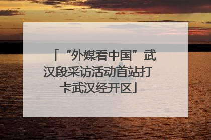 “外媒看中国”武汉段采访活动首站打卡武汉经开区