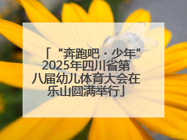 “奔跑吧・少年”2025年四川省第八届幼儿体育大会在乐山圆满举行