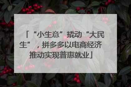 “小生意”撬动“大民生”，拼多多以电商经济推动实现普惠就业