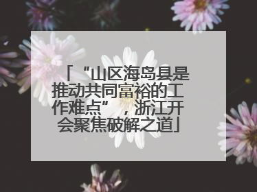 “山区海岛县是推动共同富裕的工作难点”，浙江开会聚焦破解之道
