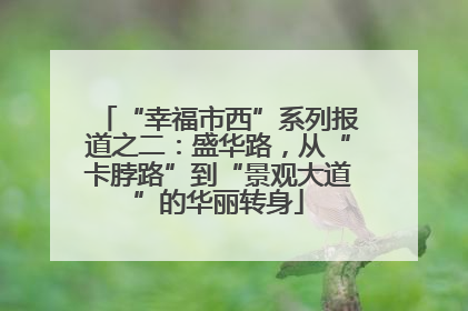 “幸福市西”系列报道之二：盛华路，从“卡脖路”到“景观大道”的华丽转身