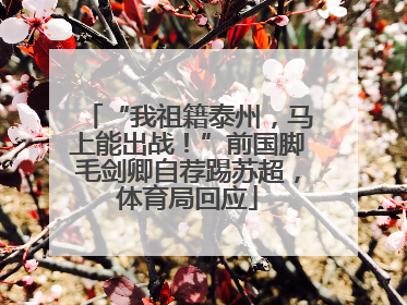 “我祖籍泰州，马上能出战！”前国脚毛剑卿自荐踢苏超，体育局回应
