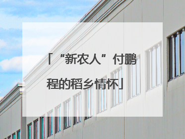 “新农人”付鹏程的稻乡情怀