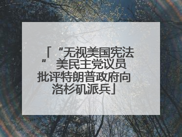 “无视美国宪法” 美民主党议员批评特朗普政府向洛杉矶派兵