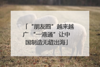 “朋友圈”越来越广 “一港通”让中国制造无缝出海