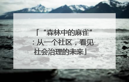 “森林中的麻雀”：从一个社区，看见社会治理的未来