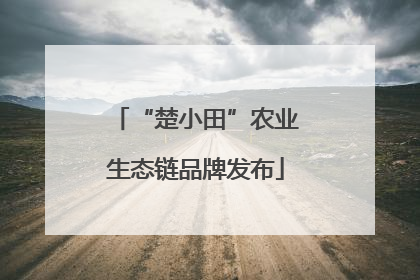 “楚小田”农业生态链品牌发布