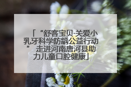 “舒客宝贝·关爱小乳牙科学防龋公益行动” 走进河南唐河县助力儿童口腔健康