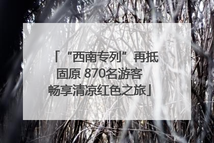 “西南专列”再抵固原 870名游客畅享清凉红色之旅