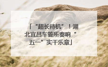 “超长待机”！湖北宜昌车管所奏响“五一”实干乐章