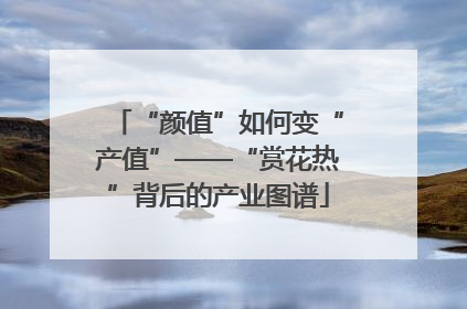 “颜值”如何变“产值”——“赏花热”背后的产业图谱